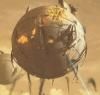 Trade Federation Sphere Shot